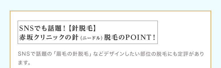 針脱毛のポイント