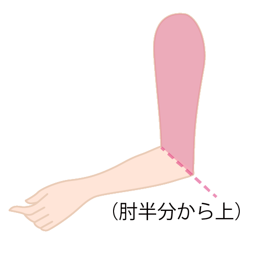 両腕 上腕(肘半分から上となります)