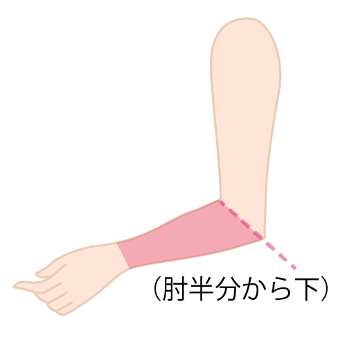 両ひじ下(肘半分から下となります)